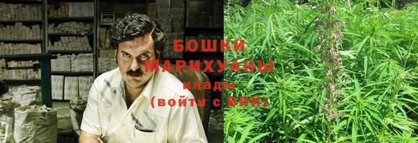 PSILOCYBIN Алзамай