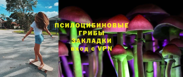 стаф Алексеевка