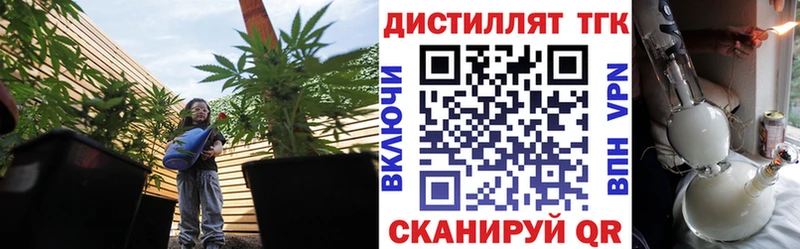 Дистиллят ТГК жижа  кракен ССЫЛКА  Каргат 
